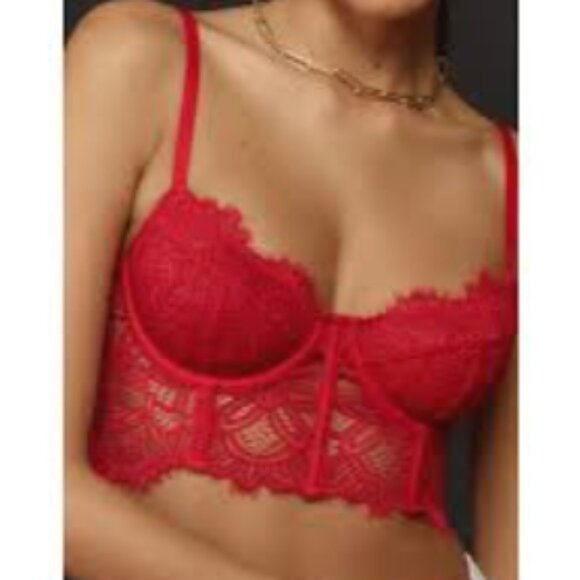 Brand New by Anthropologie The Giselle Lace Bustier - Picture 6 of 6